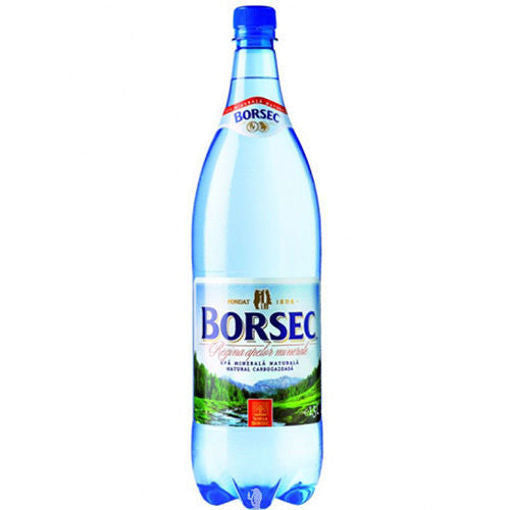 BORSEC Maden Suyu 1.5L