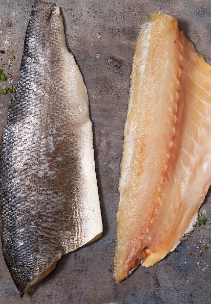 Türk Levrek Fileto, Bronzino Fileto adet başına