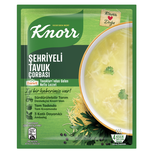 KNORR Chicken Noodle Soup 65g