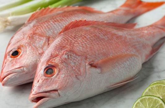 Red sniper (K?rlang?ç) 1lb whole,gilled,gutted&scaled